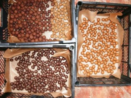 pregatiri pentru noul sezon - 2013 - bomboane pentru mustaciosi  - gedc0268.JPG